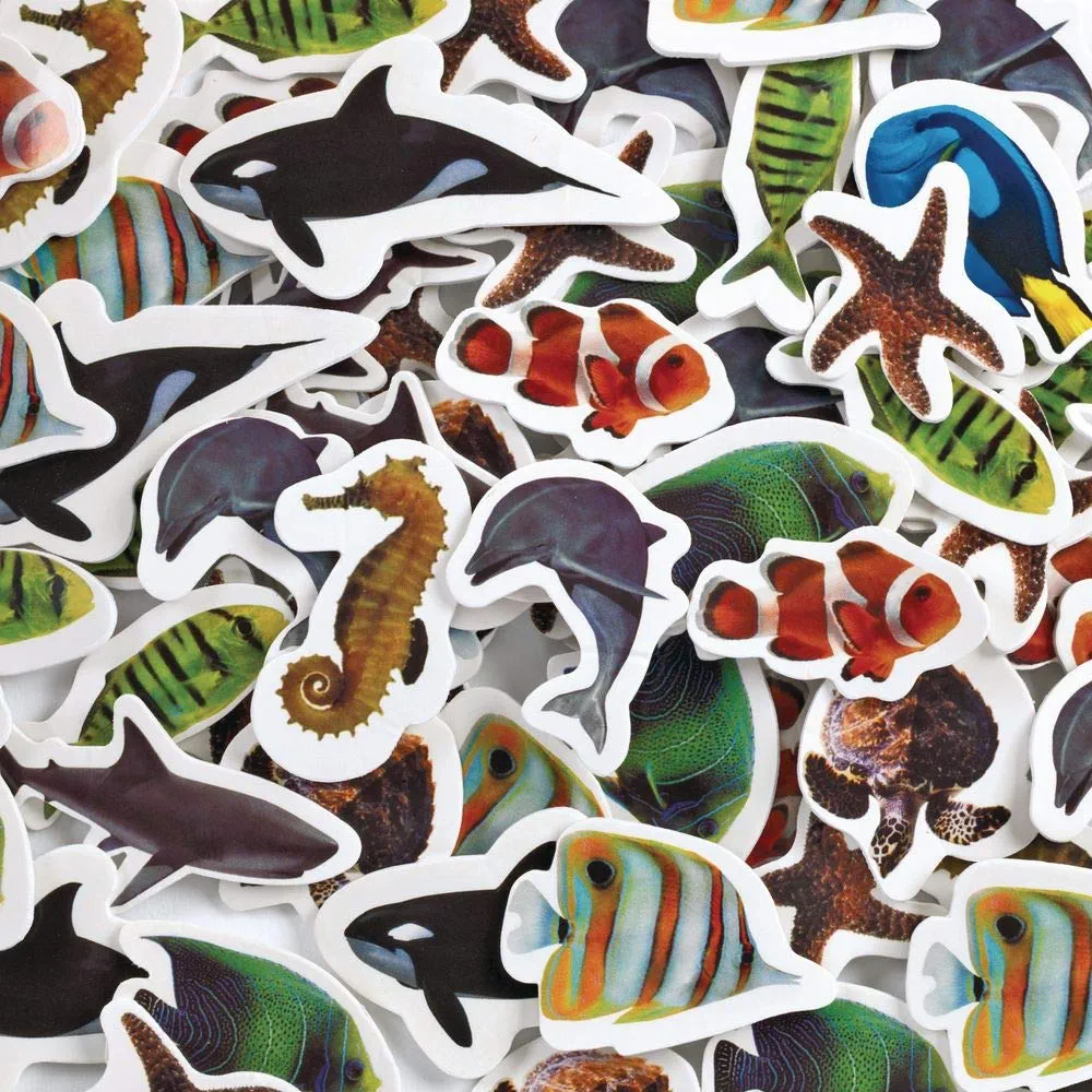 Colorations Sea Life Photo Stickers, Foam Stickers, 250 pieces of Photo Real Stickers, Self Adhesive Stickers, Kids Stickers, Stickers for Children,Scrapbooking, Crafting,Biology Projects,Art Supplies