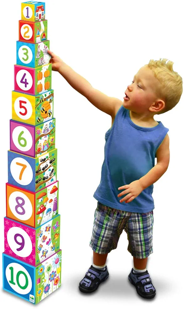 Learning Journey International LLC Play & Learn - Stacking Cubes - STEM Toddler Toys & Gifts for Boys & Girls Ages 12 Months and Up - Mind Building Developmental Learning Toy, Multi (100257)