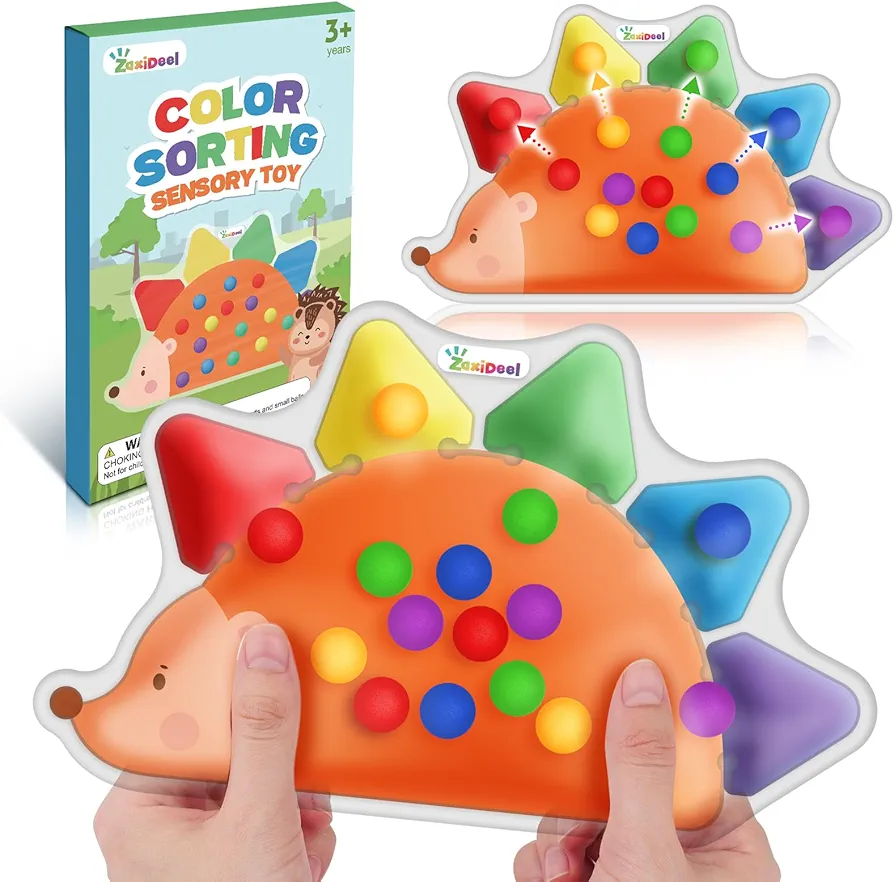 Color Sorting Toys Sensory Toys : Fine Motor Skill Games Learning Toys for Toddlers, Color Matching Preschool Activities Educational Calm Down Toys Montessori Toys for Kids Boys Girls Gifts Ages 3+