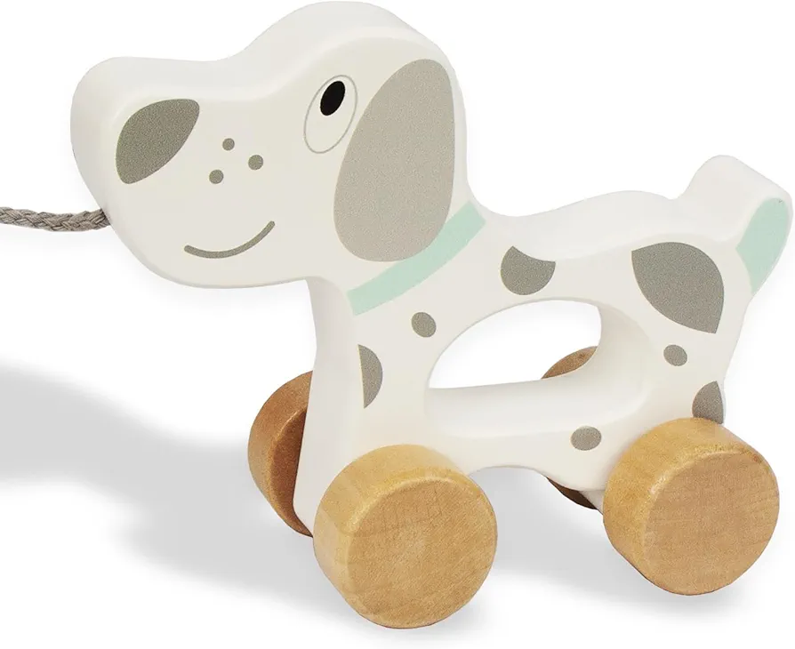 Baby Toys Car,Wooden Pull Along Toddler Toy, Developmental Toy for 1 Year Old Girl Boy Birthday Gift (Dog)