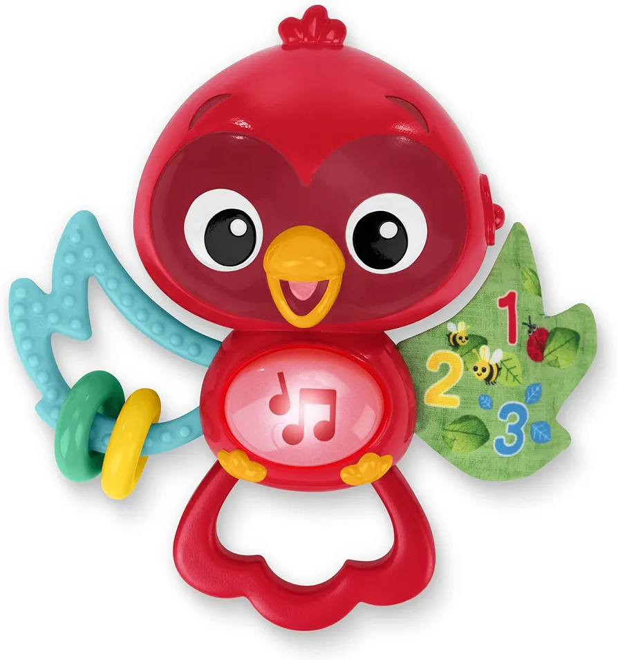 Baby Einstein Roxys Bright Flight Musical Toy, Multisensory, Ages 3 Months and Up