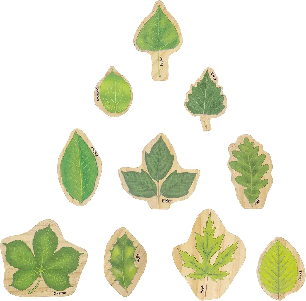 Stacking Leaves - Set of 10 - Ages 12m+ - Wooden Leaf Blocks - Double-Sided - Illustrations Showing Leaves in The Summer and Fall