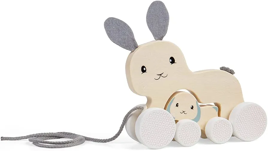 Bigjigs Toys FSC Certified Bunny & Baby Pull Along Toy - Eco-Friendly Rabbit Pull Along with Cord & Baby Bunny Push-Along, Quality Pull Along Toys for 1 Year Olds, Wooden Baby Toys