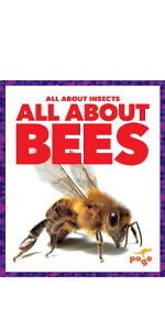 All About Bees