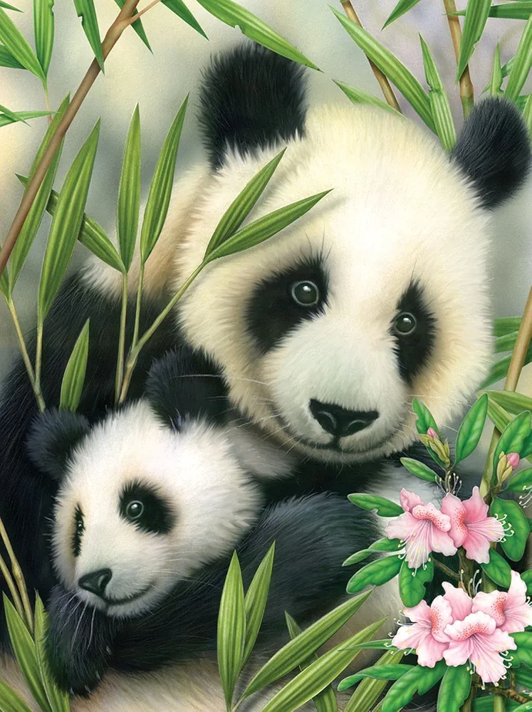 Paint by Numbers Junior Panda, DIY Picture Approx. 33 x 24 cm, Includes 7 Acrylic Paints, Brush and Printed Painting Card, Ideal for Beginners and Children from 8 Years