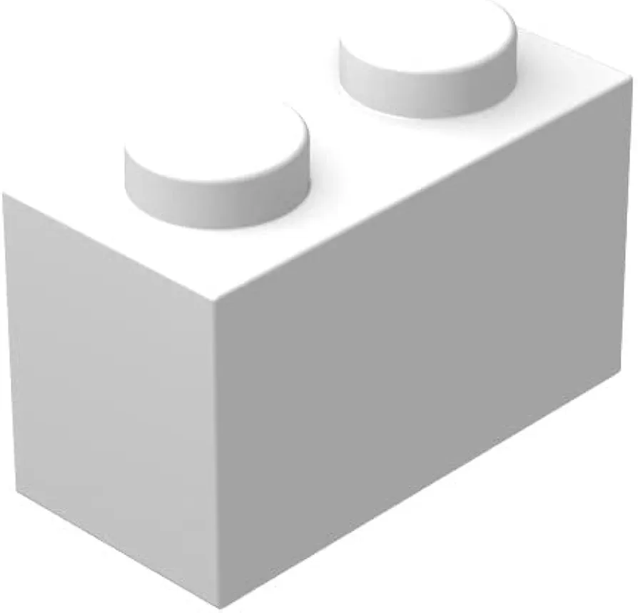 Classic Brick Block Bulk, White Bricks 1x2, Building Bricks Flat 100 Piece, Compatible with Lego Parts and Pieces: 1x2 White Bricks(Color:White)