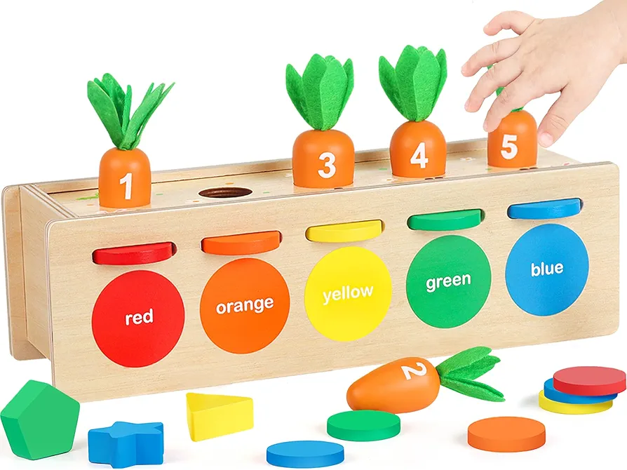 Montessori Toys for 1 2 3 Years Old, Wooden Shape Sorter & Color Matching Box, Toddler Learning Toys for 12-18 Months for Preschool, Ideal Christmas, Birthday, Easter Gifts for Boys Girls