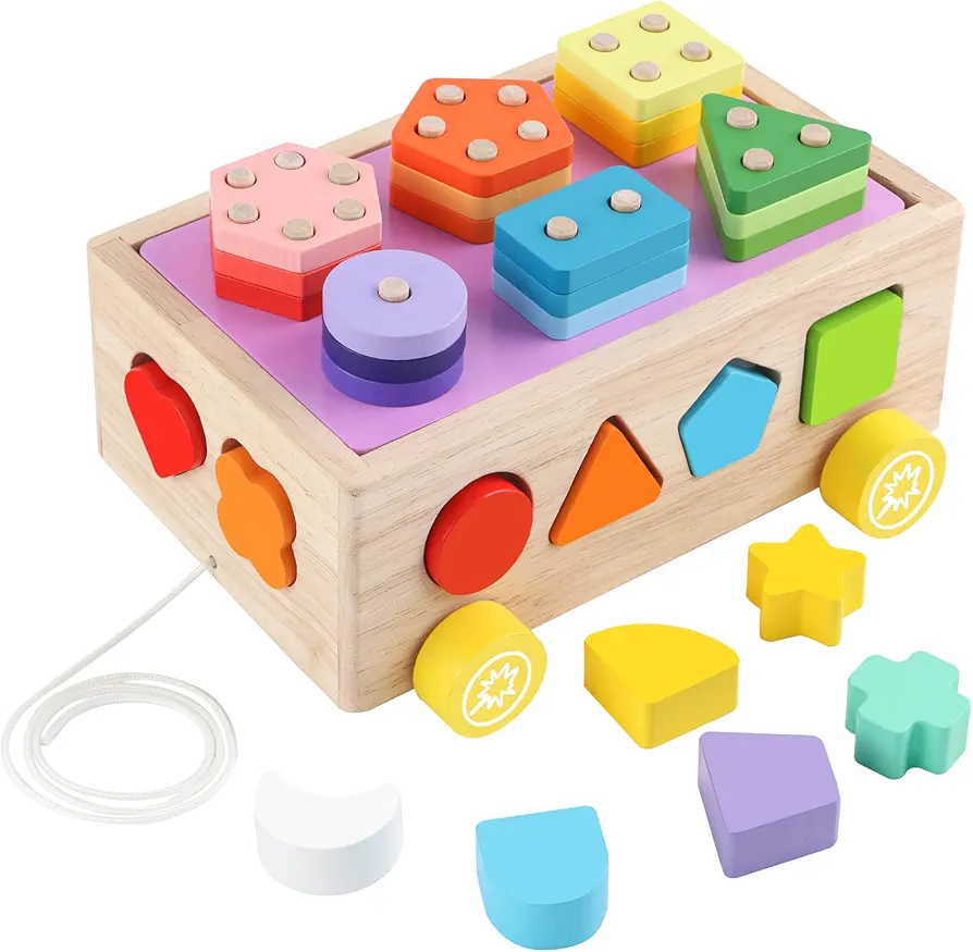 Montessori Toys for Toddler 1-6 Years Old Wooden Sorting and Stacking Toy Shapes Matching Puzzle Preschool Learning Educational Activity for Babies Boys Girls