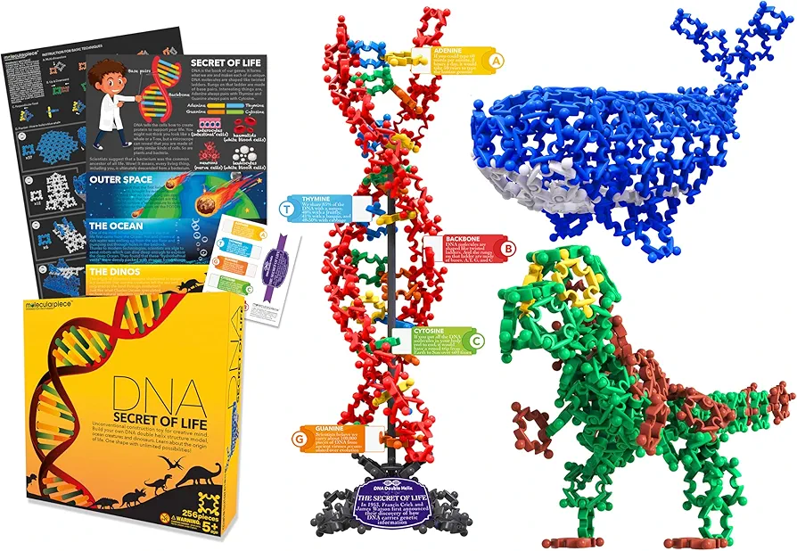 Secret of Life 3 in 1 (256 pcs) 4D STEM Educational Building Toy Kit | DNA Double Helix Structure Model + Marine Life + Dinosaur | Origin of Life | Evolution | Creative Science for Kid