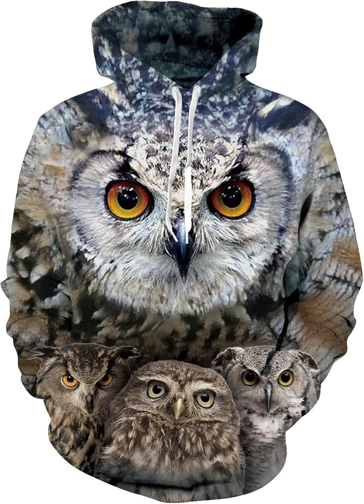 RAISEVERN Hoodies for Men Women 3D Graphic Fleece Sweatshirts Pullover Novelty Cool Funny Hoody Hooded With Pockets